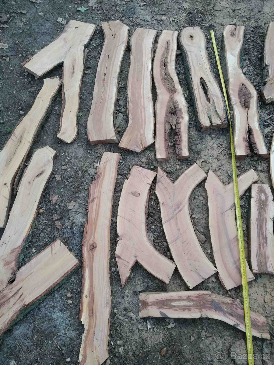 švestka fošny 4cm silné,vhodné do pryskyřice a na dekoraci - 18