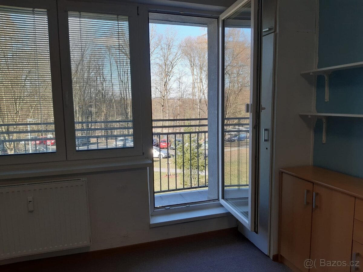 Pronájem bytu 1+kk - 18