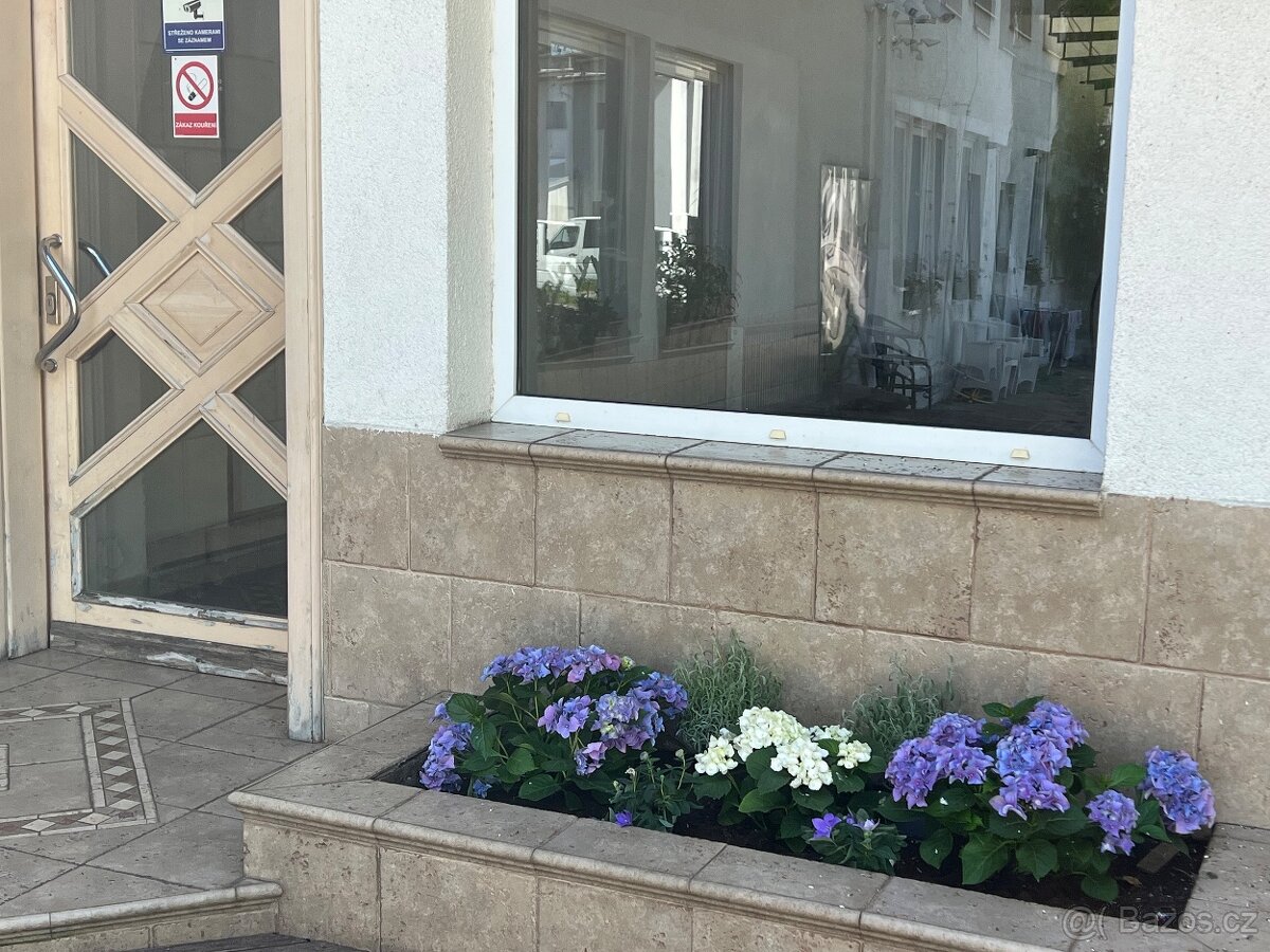 PRONÁJEM samotného pokoje v centru Holic - 18