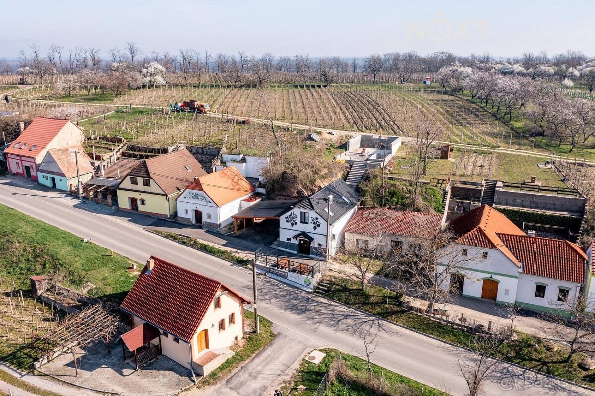 Vinný sklípek / pronájem dohodou - 18