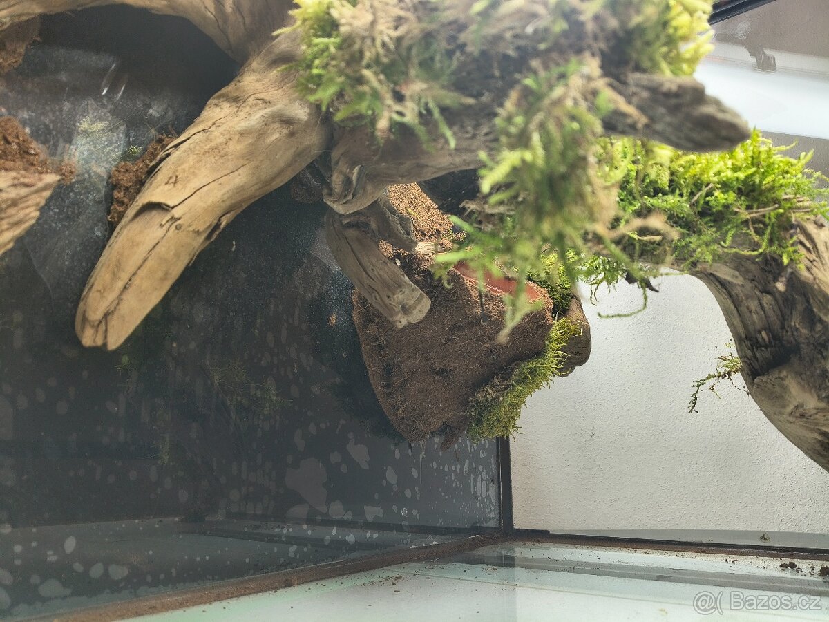 Terárium velké 60x45x45 - 18