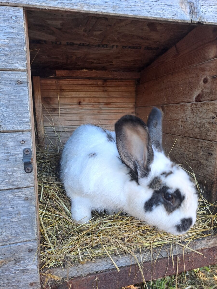 Ubytování, pronájem - chaty Hrubý 35, 36 - 18