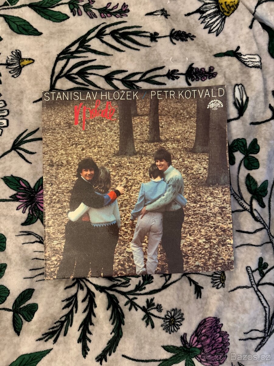 Gramofonové desky (1973-1985) - 18