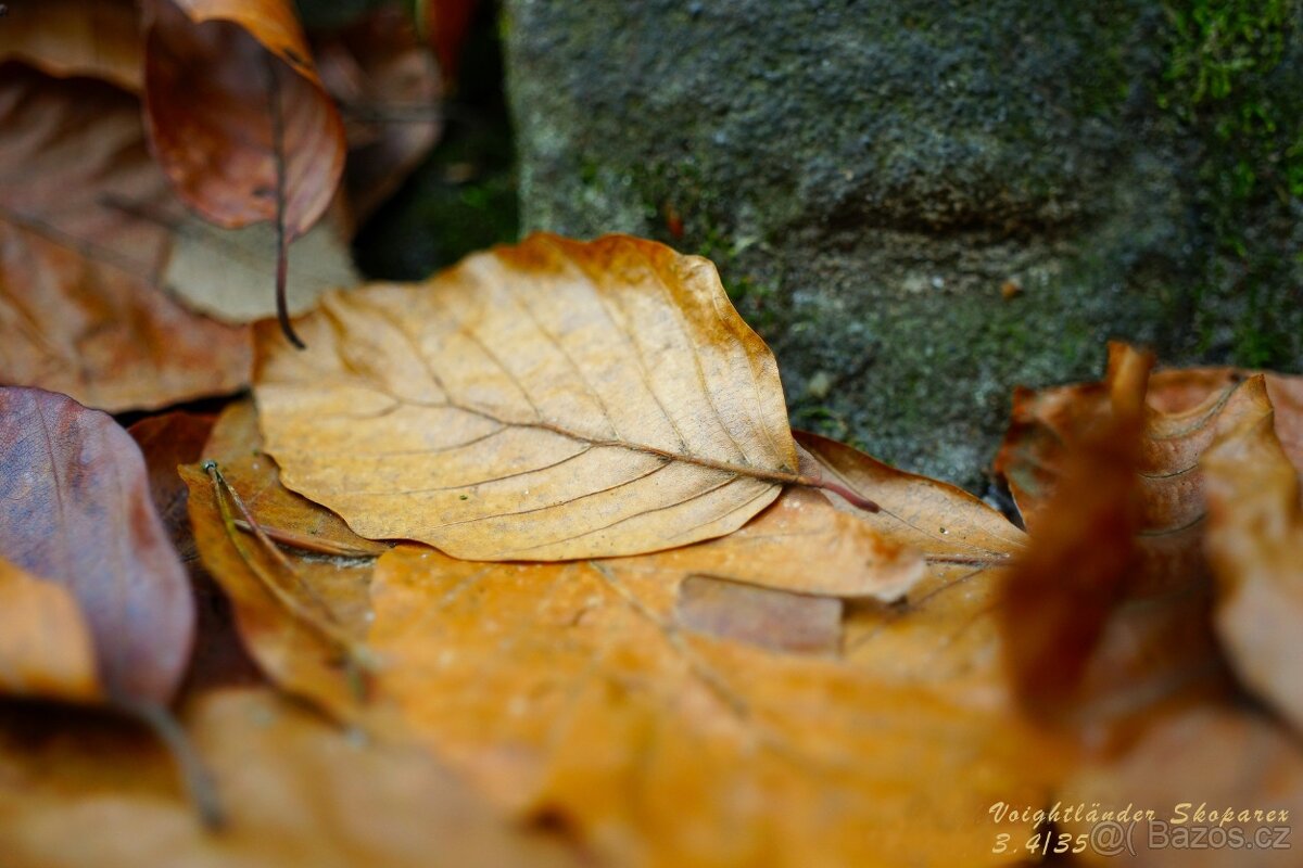 Voightländer Bessamatic De Luxe + 2 objektivy Voightländer - 18
