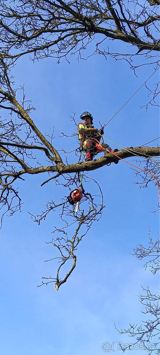 Rizikové kácení - 18