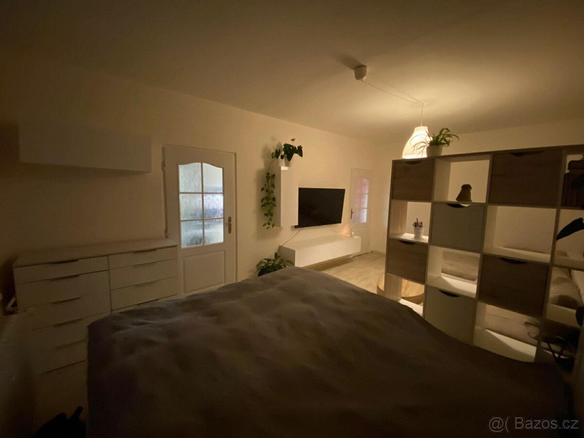 Pronájem bytu Střekov 2+1 - 18