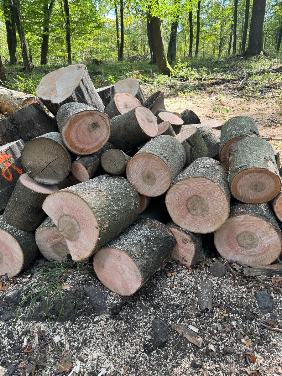 Prodej palivového dřeva - 18