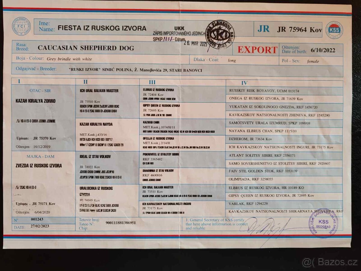 Kavkazský pastevecký pes s PP - 18