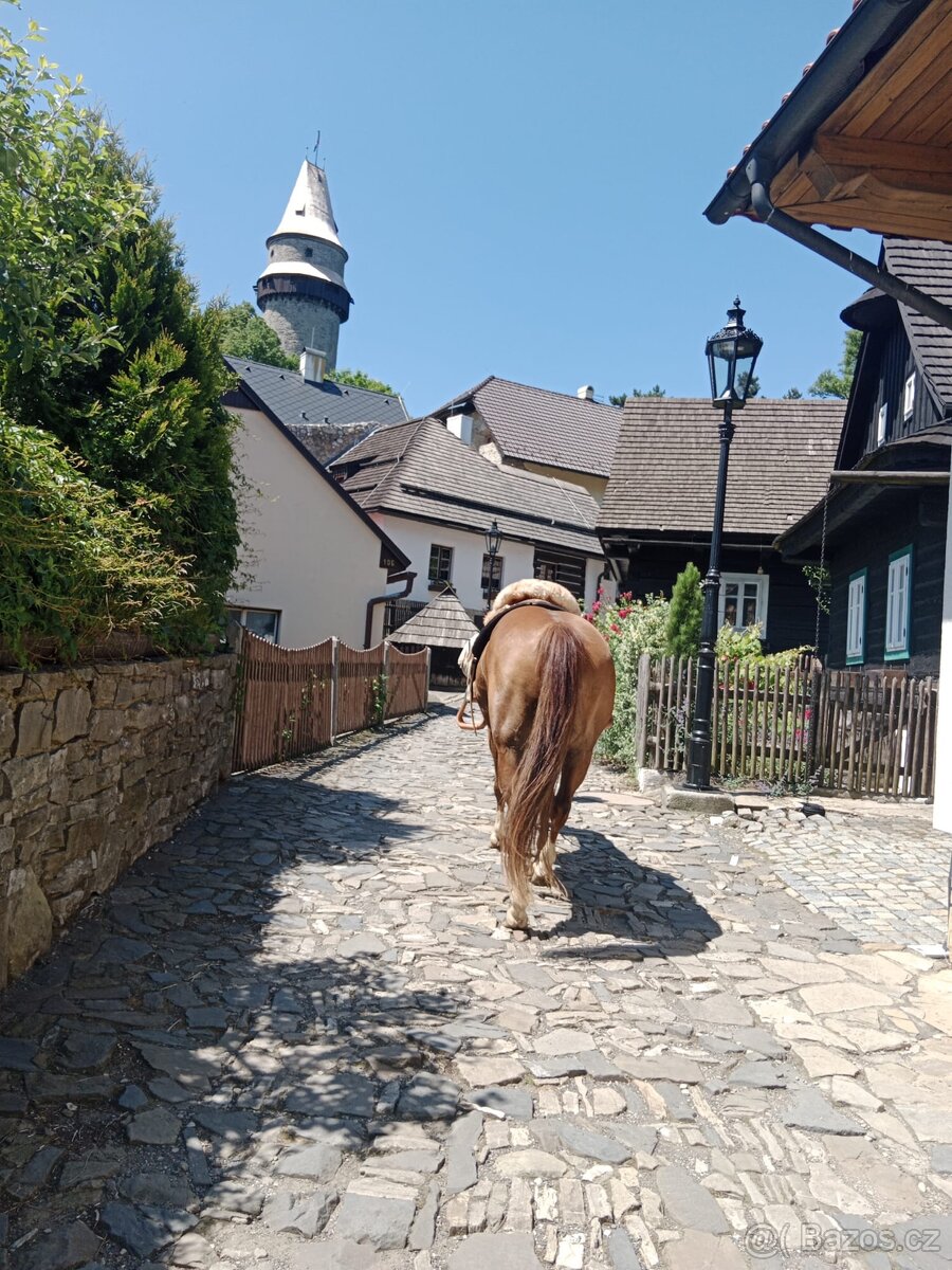 Pastevní ustájení - 18