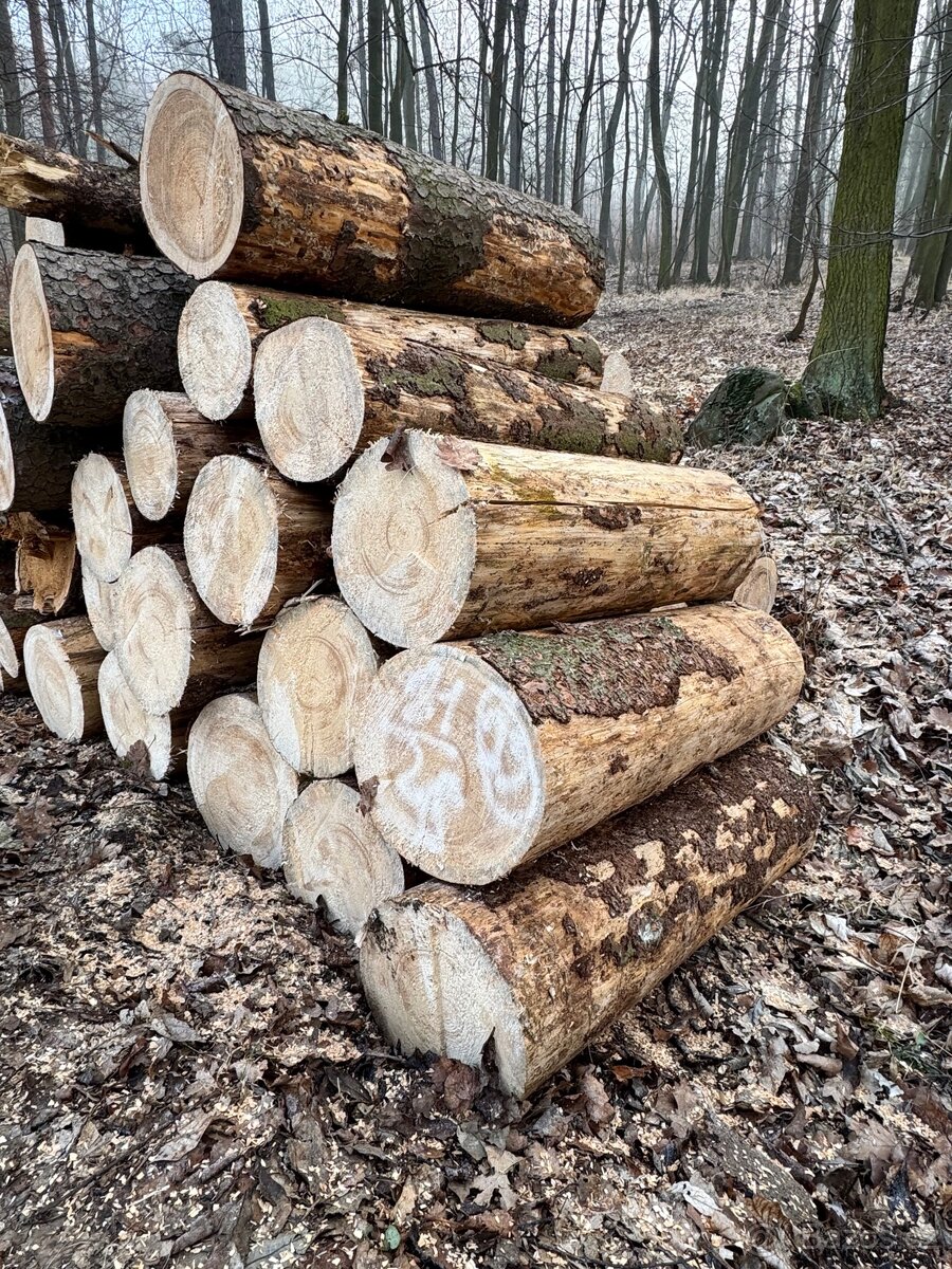 PRODEJ PALIVOVÉHO DŘEVA - 18