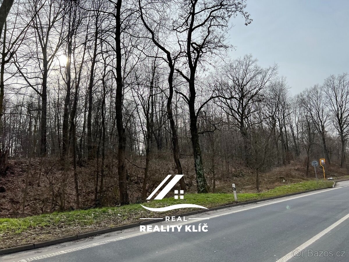 Prodej, tři pozemků o celkové rozloze 15421 m² v Markvartov - 18