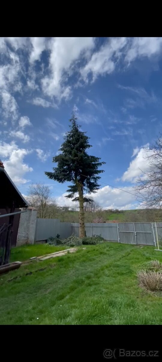 Rizikové kácení stromů - 18