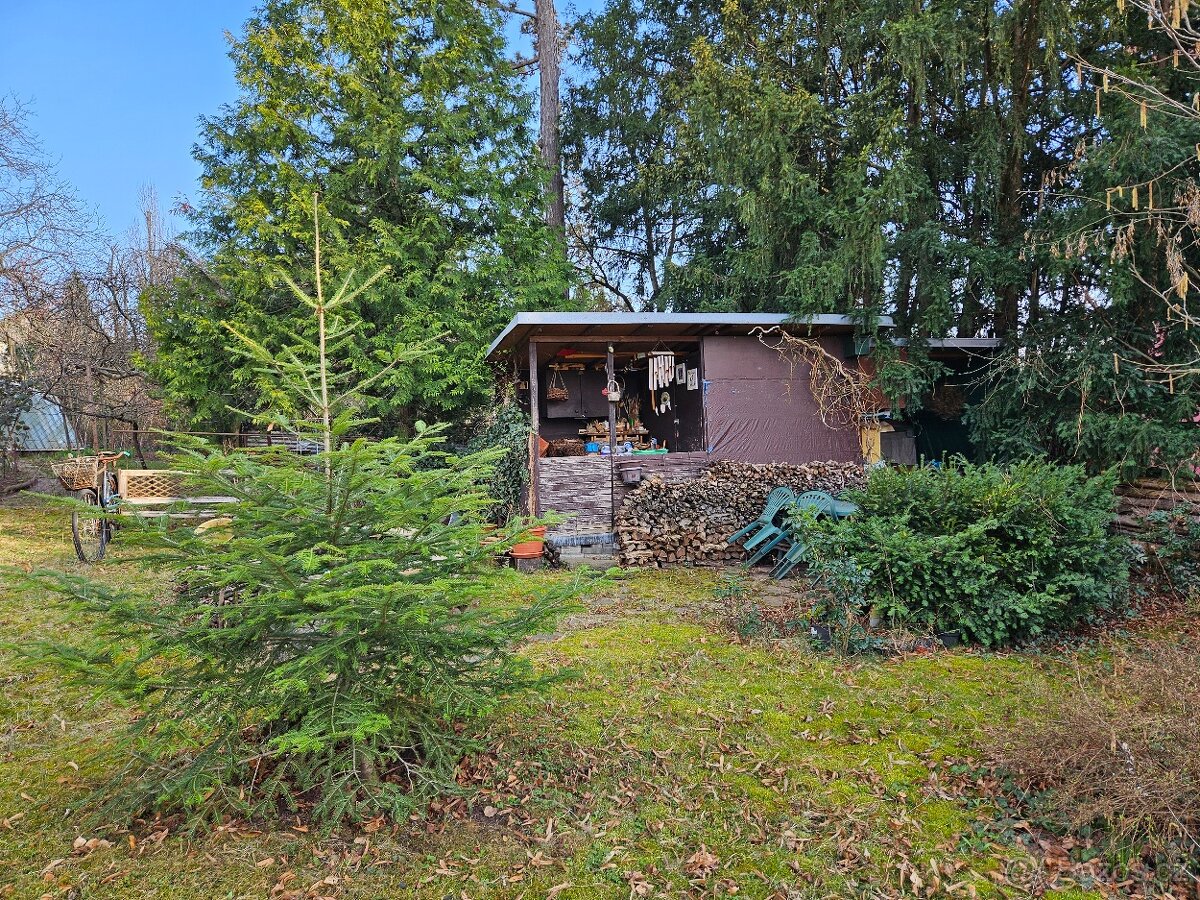 Dražba - bytový dům Lipová 31, Brno - 18