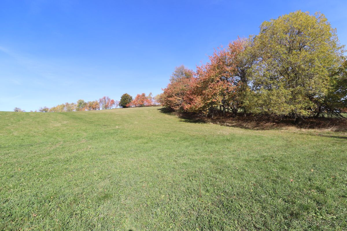 Prodej pozemku na Šumavě – Stachy - 18