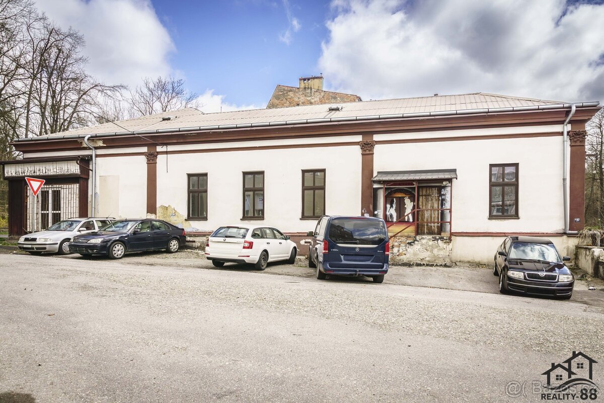 Prodej obchodního prostoru 700 m², Orlová - Město - 18