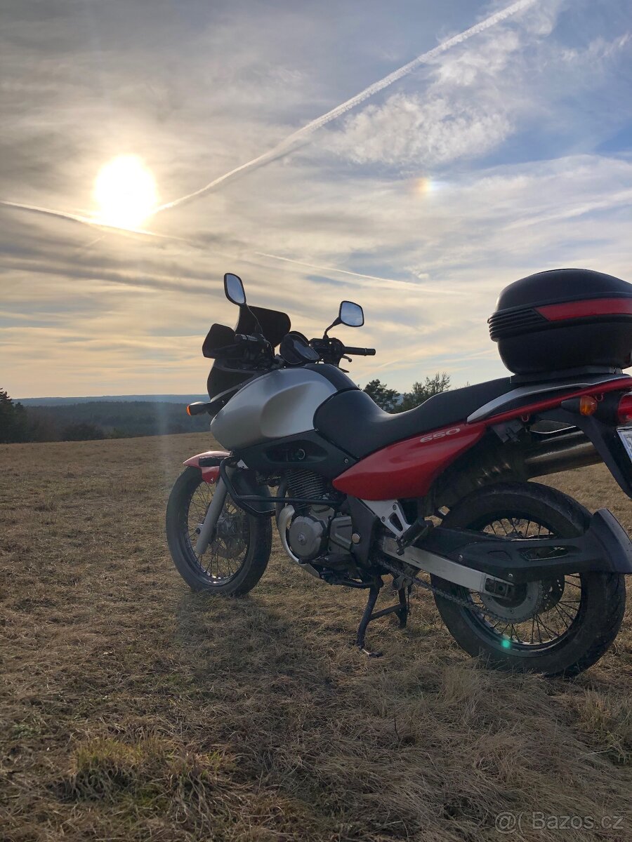 Suzuki xf 650 freewind - 18