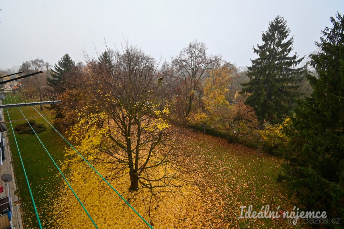 Pronájem bytu 3+1, Vysoká, Štýřice, 21.900 Kč/měs, 58 m2 - 18