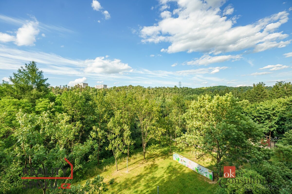 Prodej, byty/3+1, 76 m2, Urbánkova 3371/69, Modřany, 14300 P - 18
