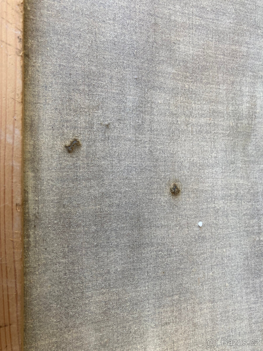 Obraz starý na plátně - 18