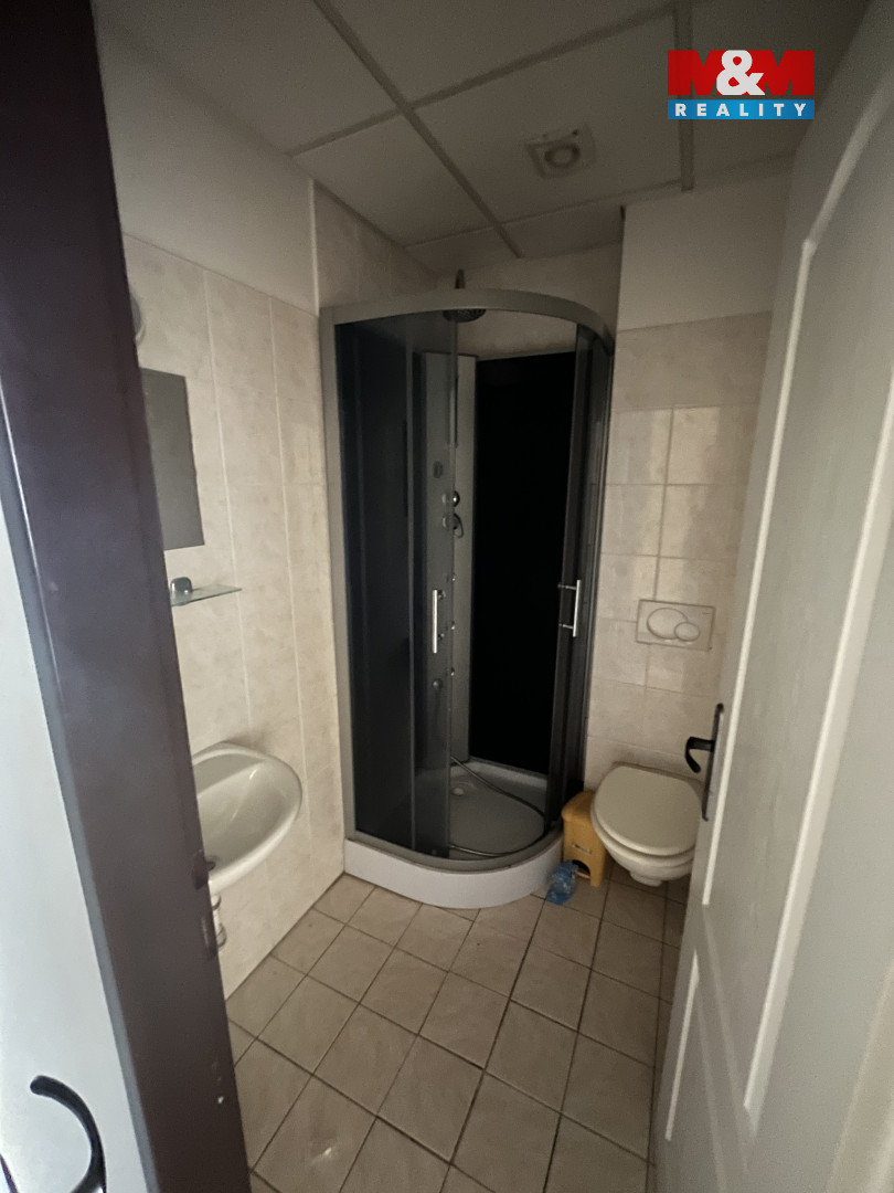 Prodej rodinného domu, 600 m², Zásada - 18