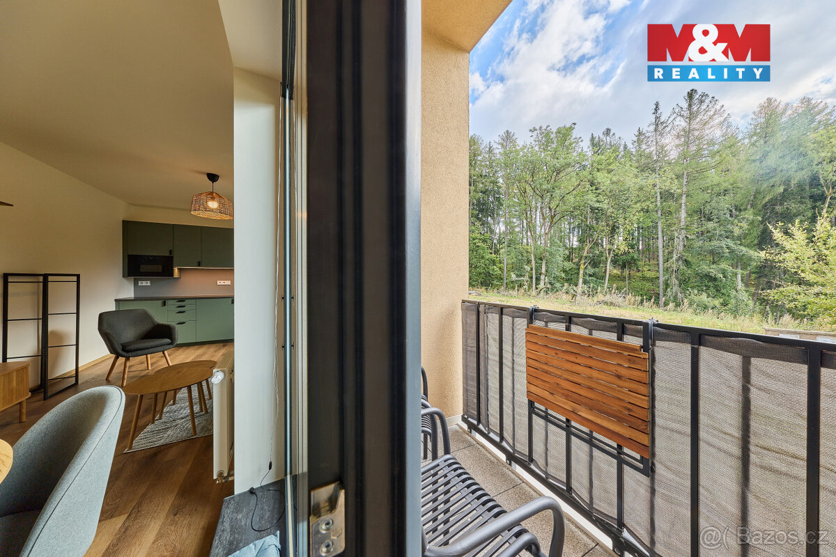 Prodej bytu 2+kk, 42 m², Černý Důl - 18