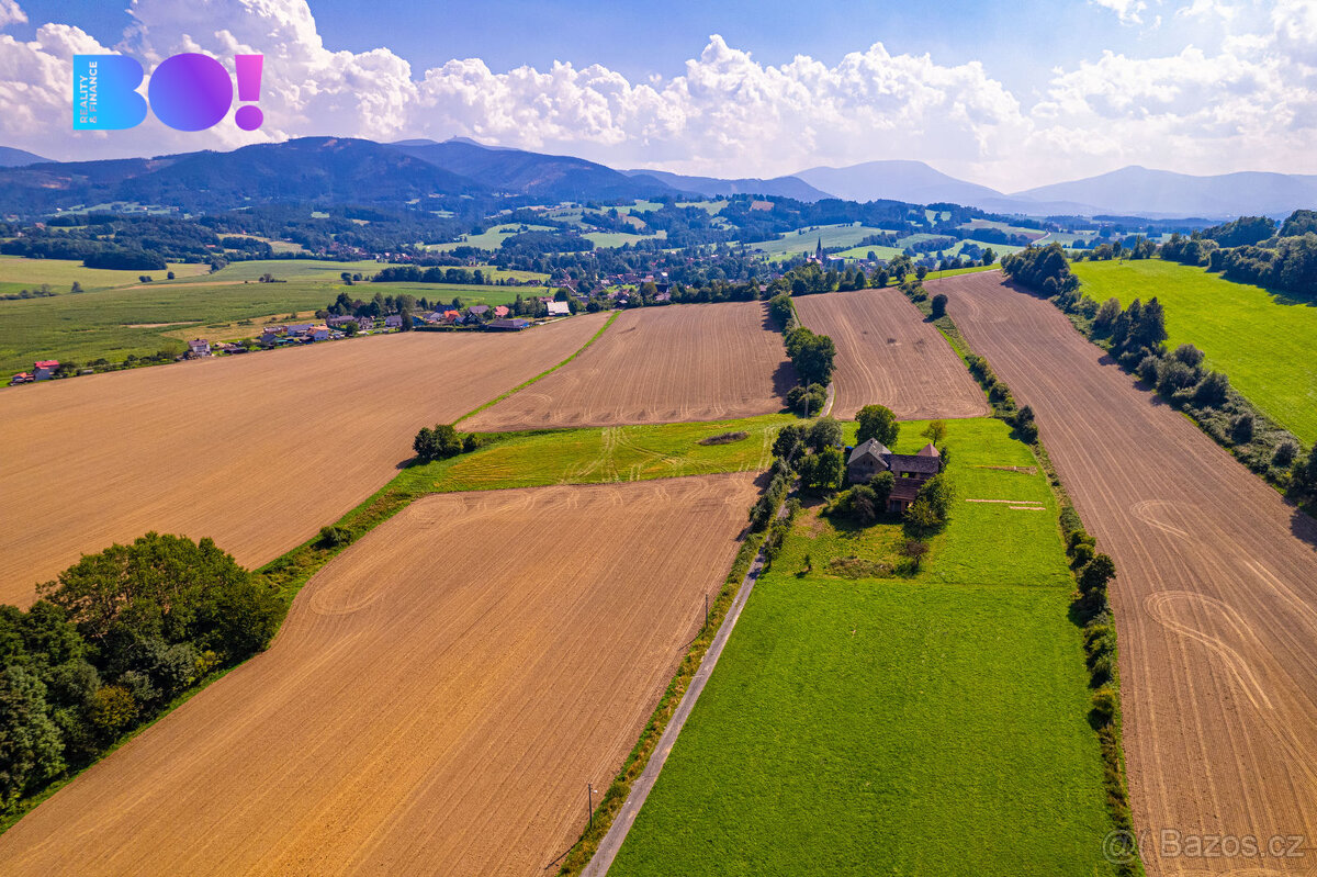 Prodej pozemků se stavbou, Janovice - 18