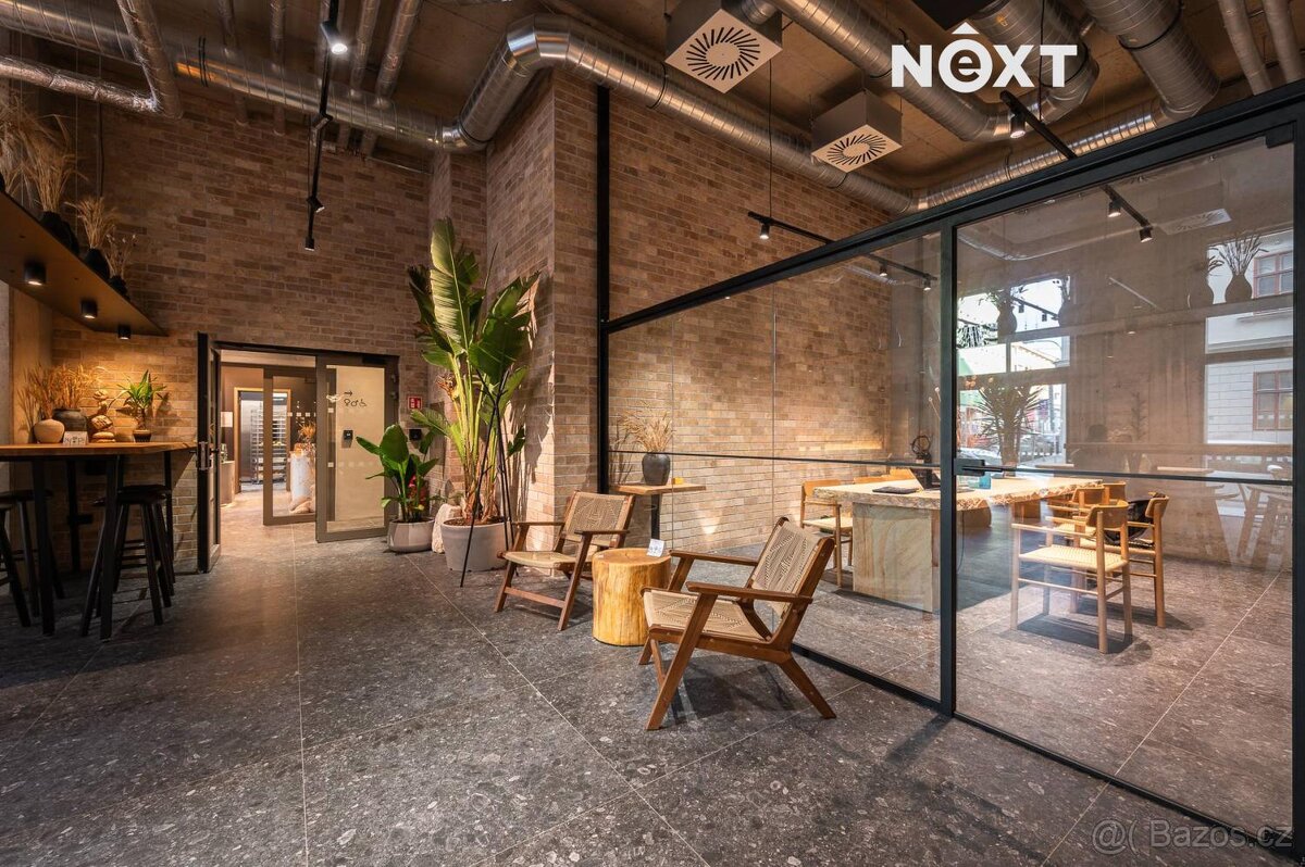 Pronájem byt 1+kk, 24㎡ - 18