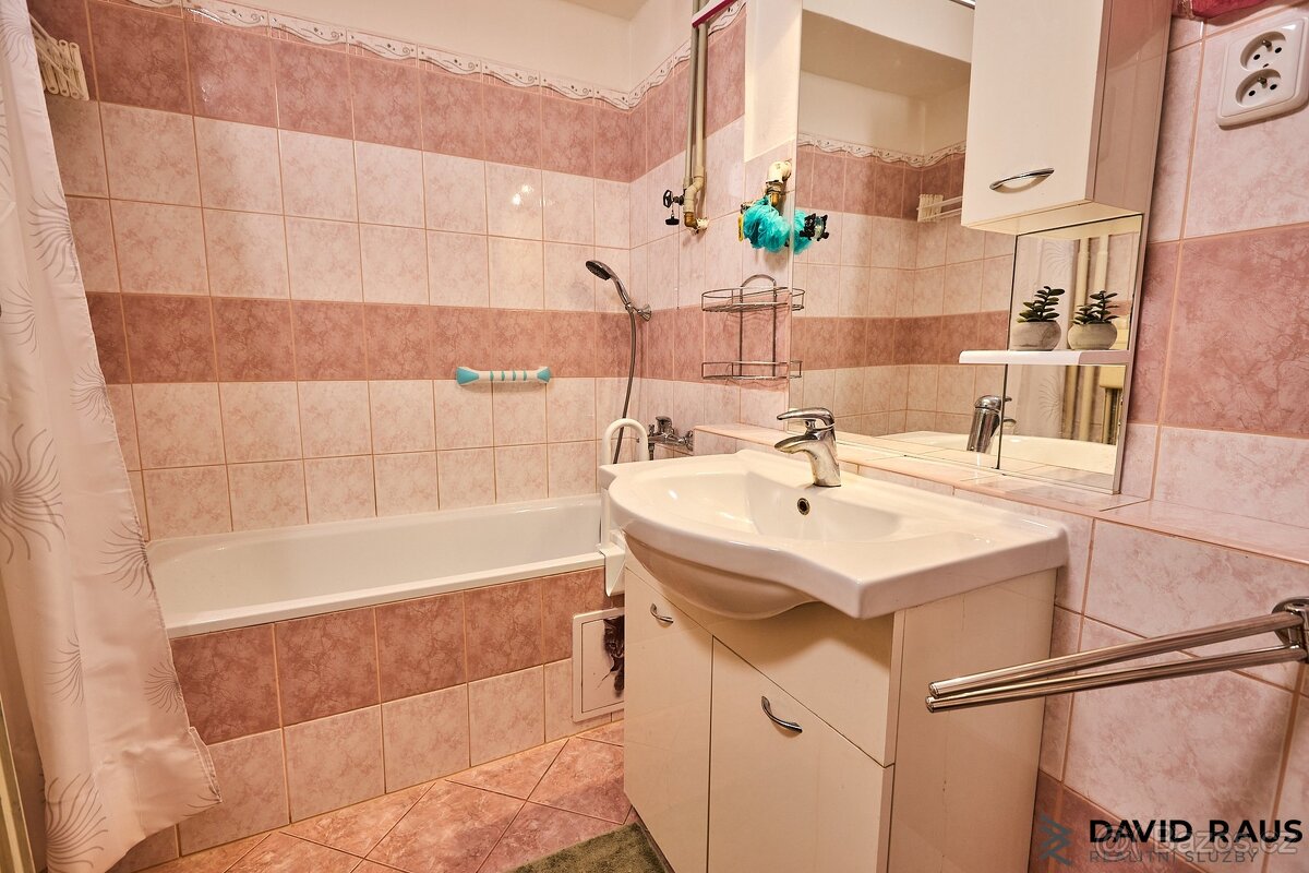 Prodej bytu 3+1( 83 m²) s terasou v centru Vyškova - 18