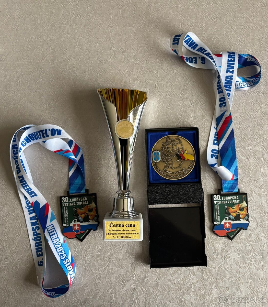 Mláďata zakrslých králíčků přímo od chovatele - 18