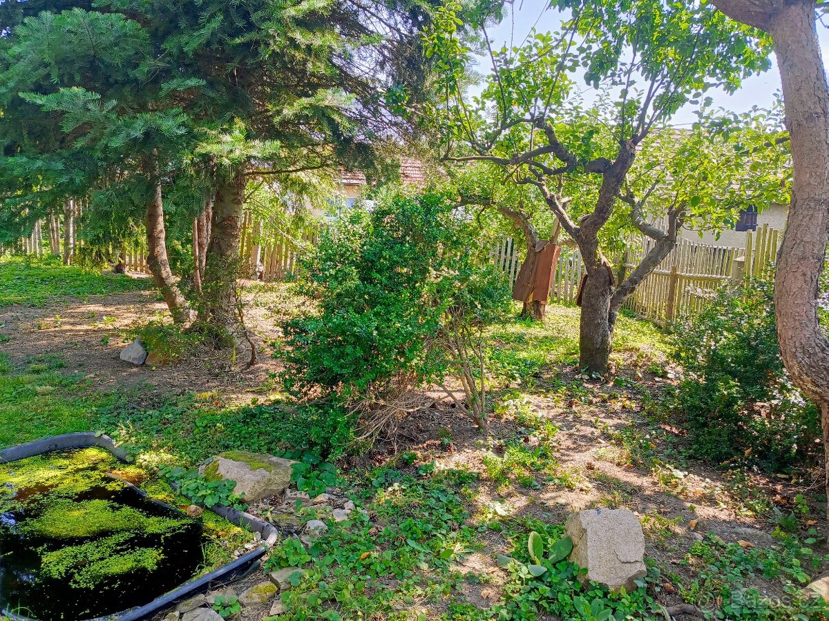 Prodej domu 53 m², pozemek 565 m², Poděvousy - Domažlice - 18