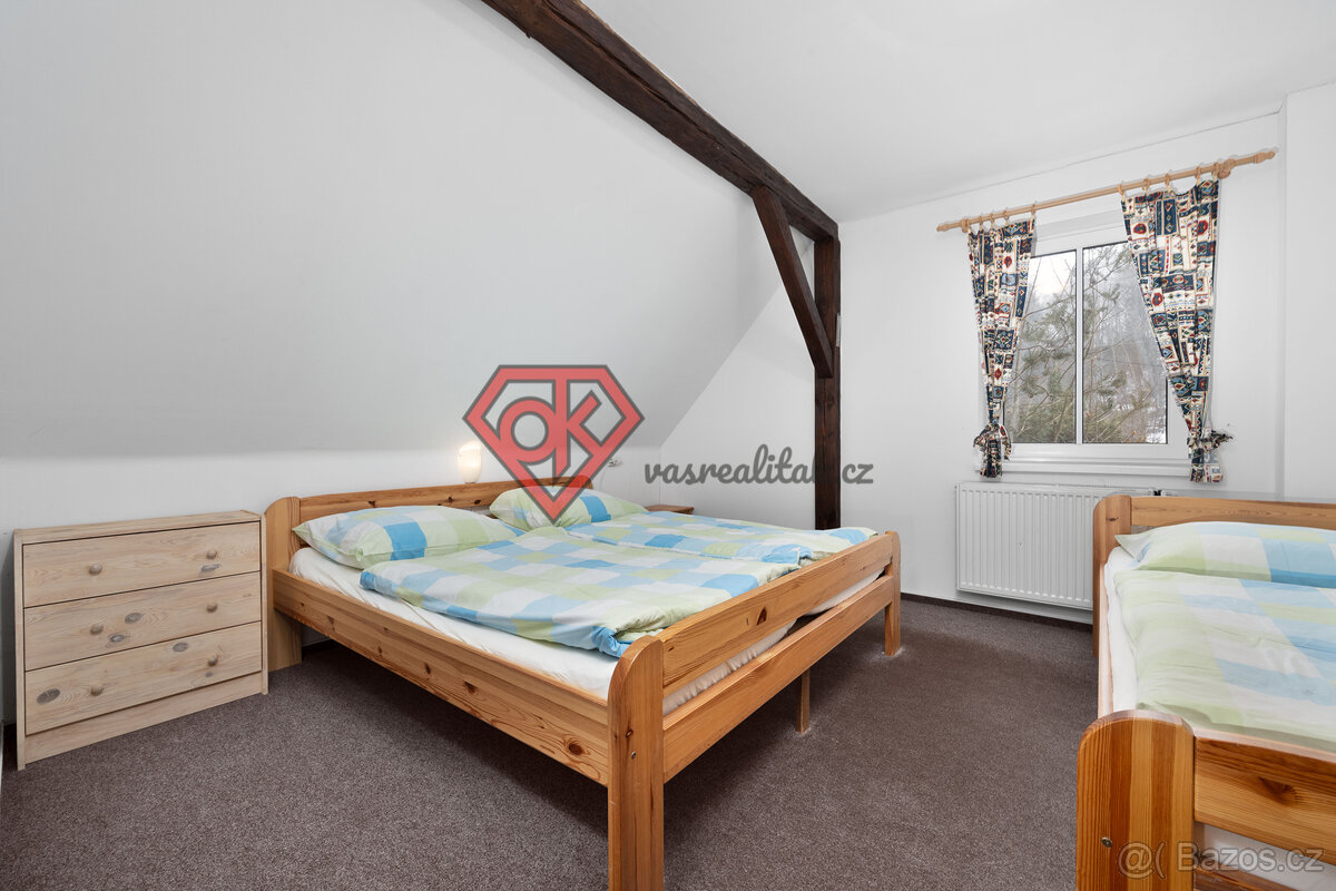 PRODEJ - penzion Hanka v Orličkách - 18