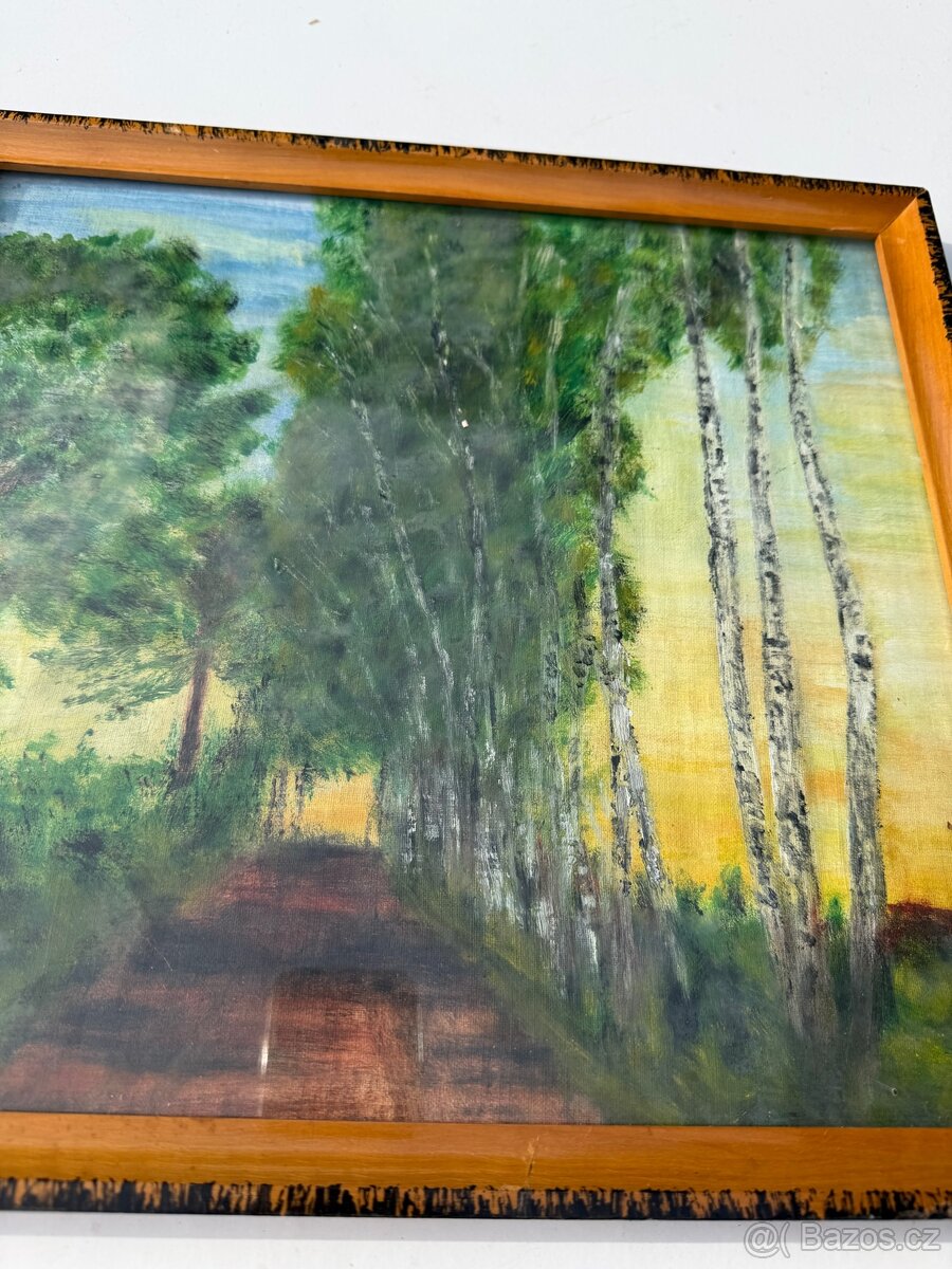 Obrazy a fotografie - 18