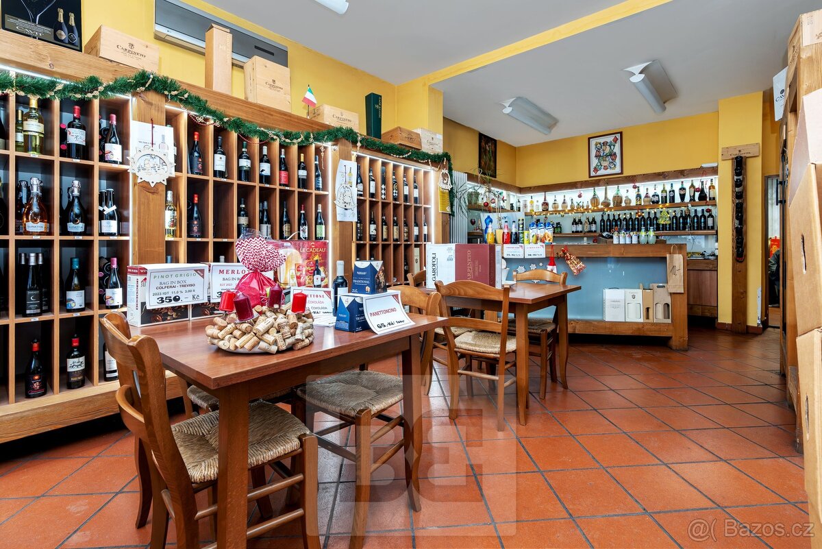 Prodej činžovního domu 515 m², Praha - Břevnov, ev.č. N08659 - 18