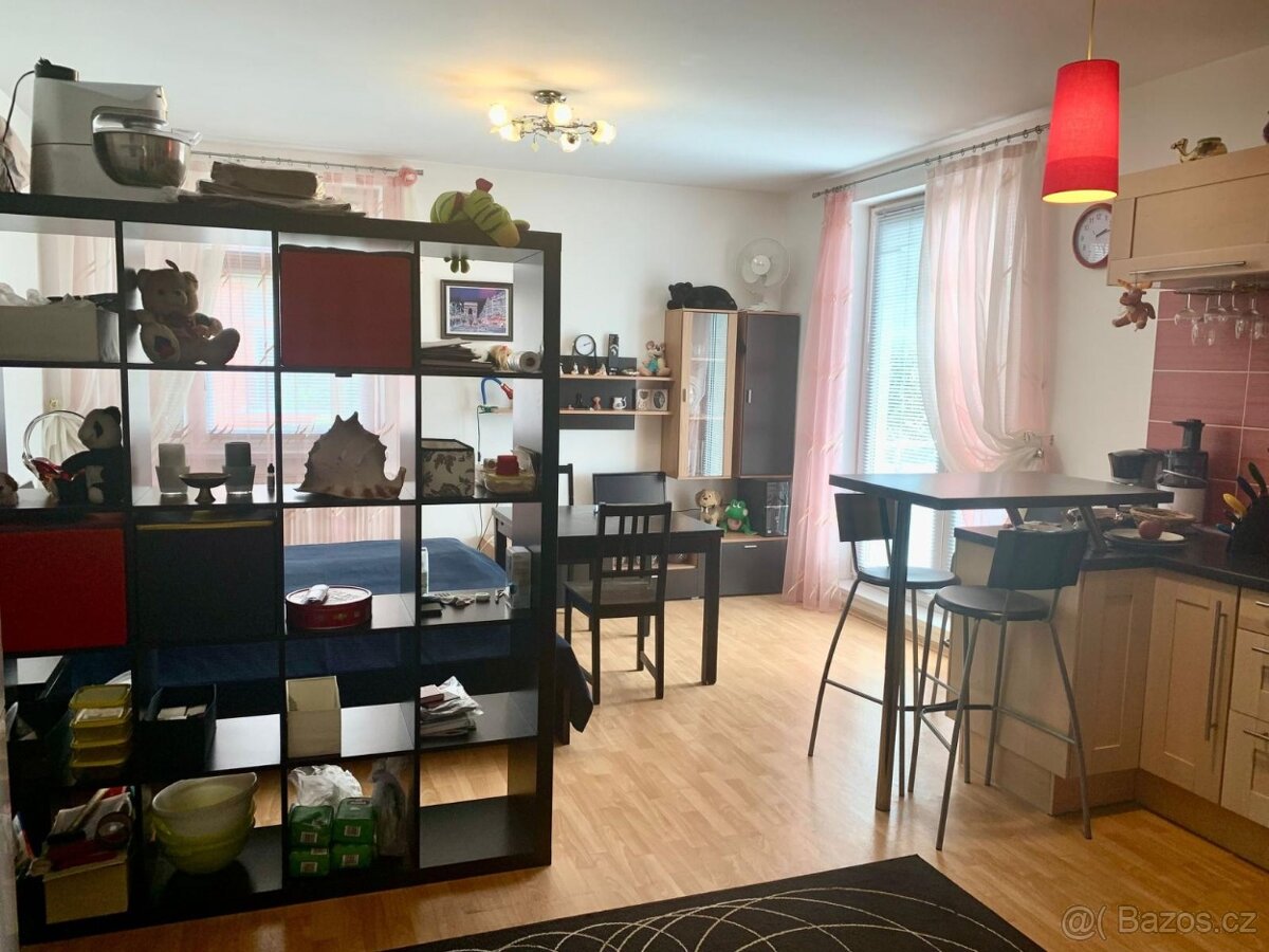 Pronajem 1kk Novodvorska - 18