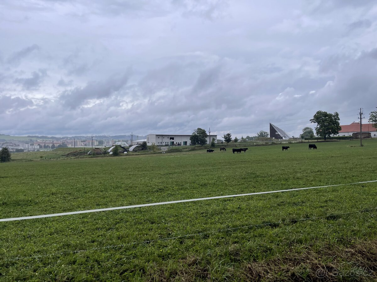 HŘÍBÁRNA NA EDENU - 18