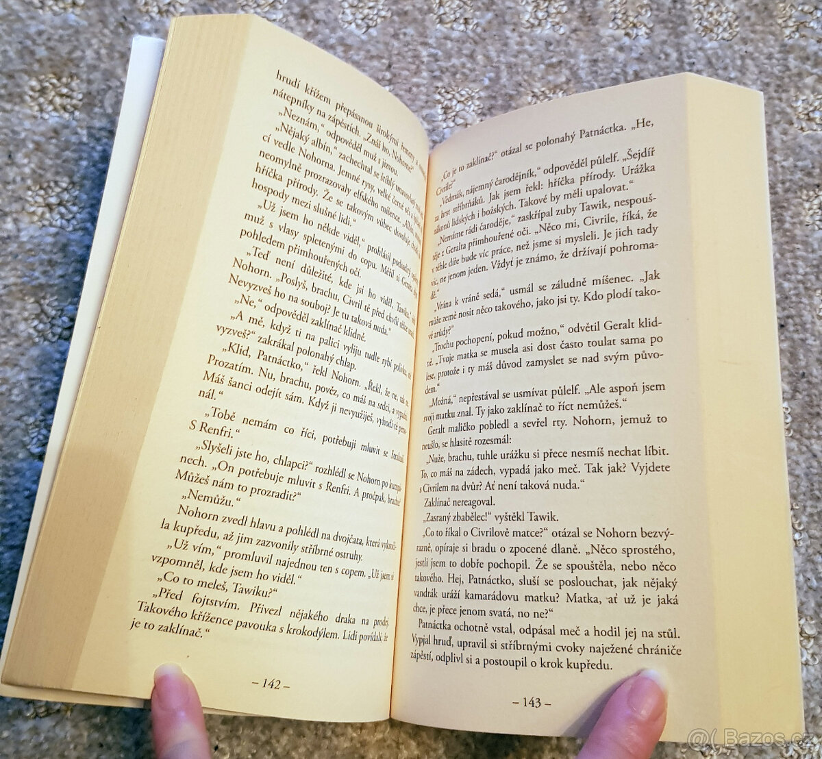 Zaklínač I (Sapkowski), Underground, Vlci (Kotleta) - 18