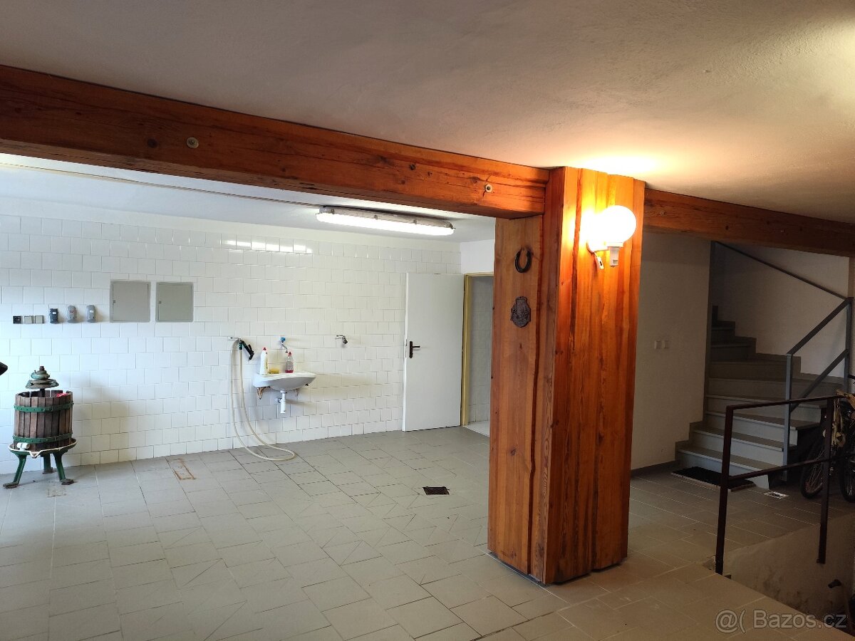 Pronájem, vinný sklep s lisovnou, Nový Šaldorf - 18