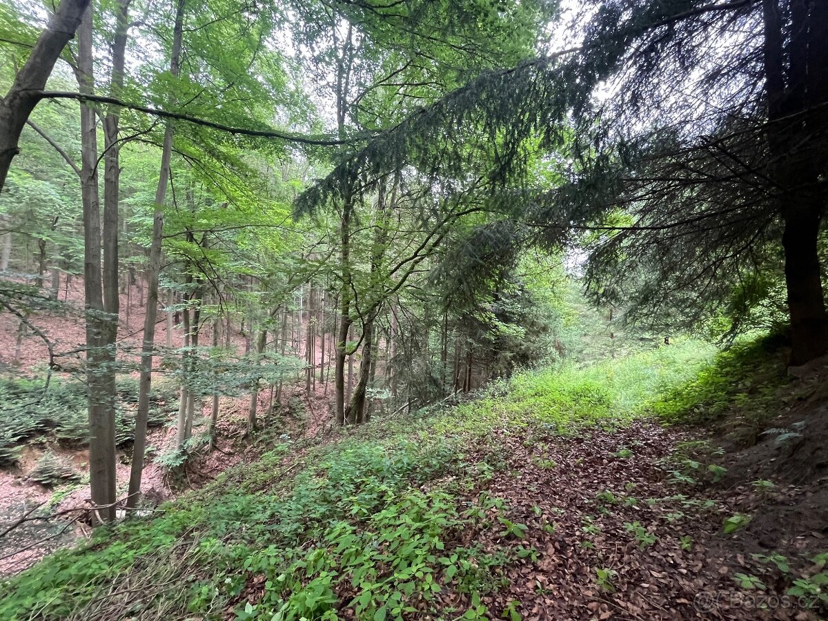 Prodej chalupy - Podhora u Pěnčína - 18