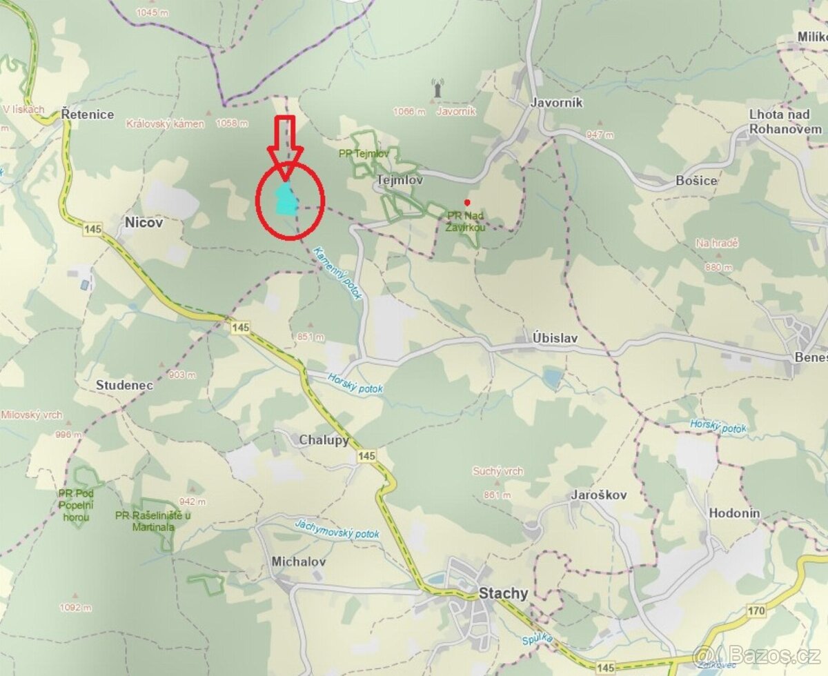 Prodám lesní pozemky v k.ú. Nicov - 18