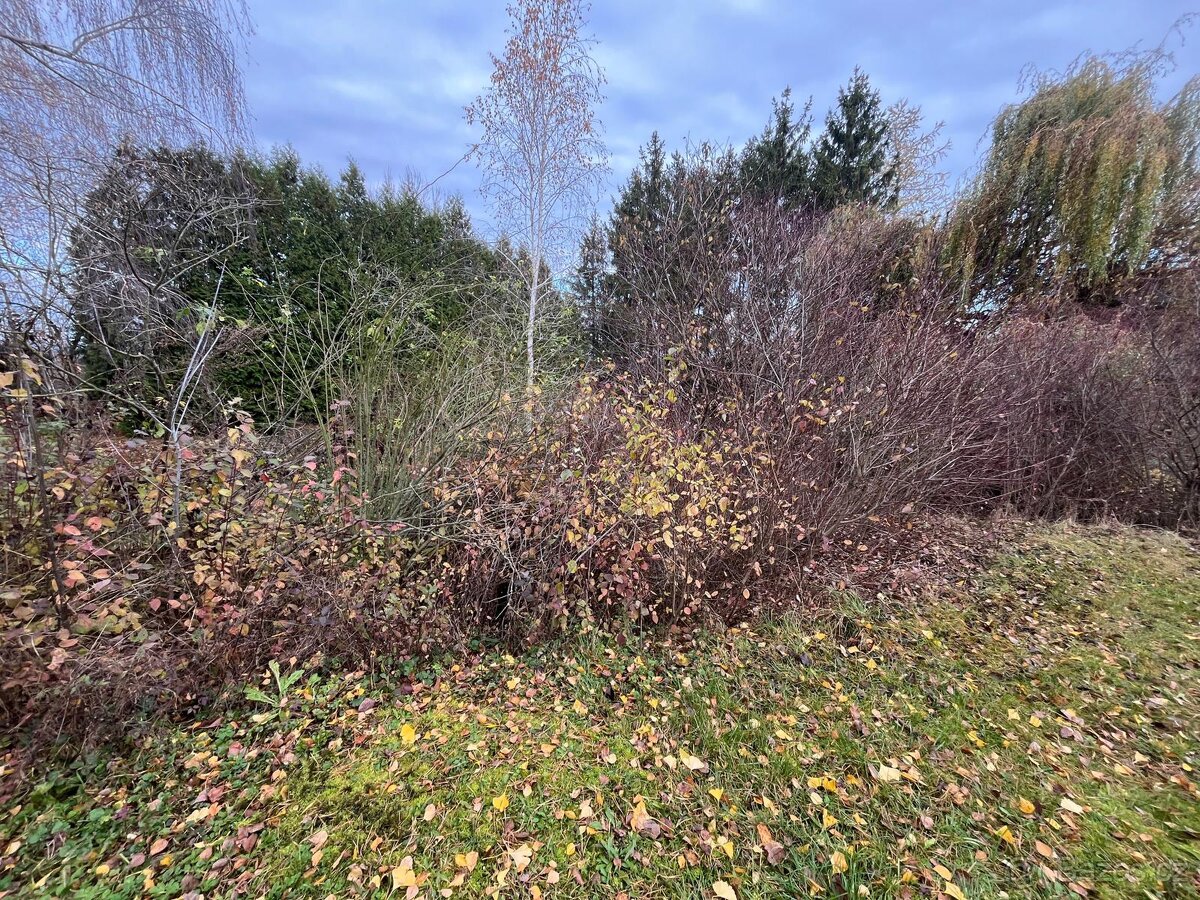 Údržba zahrad - 18