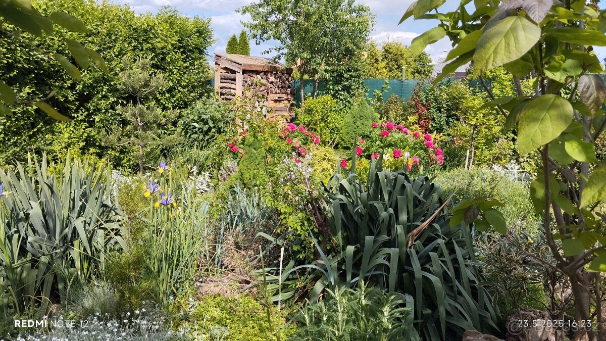 Prodej chaty se zahradou - 18