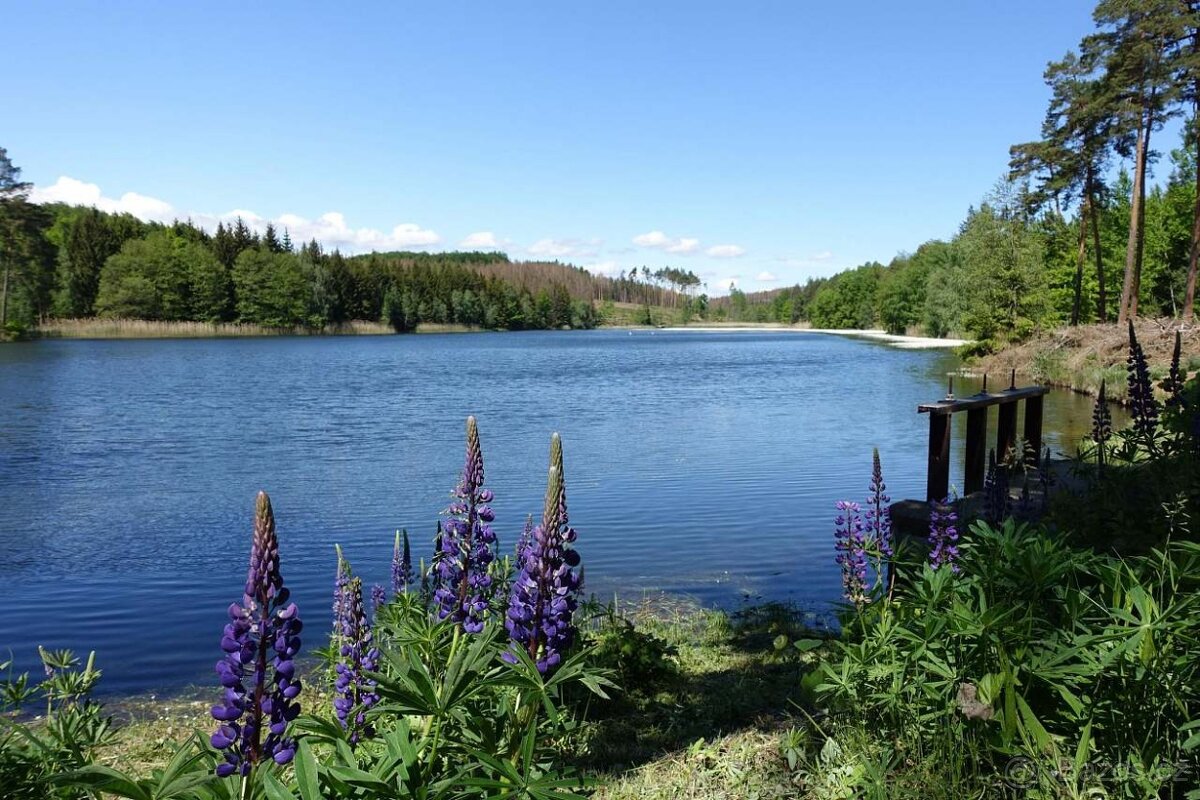 Pronájem chaty Moravské Budějovice Jackov Kosová Hrachovec - 18