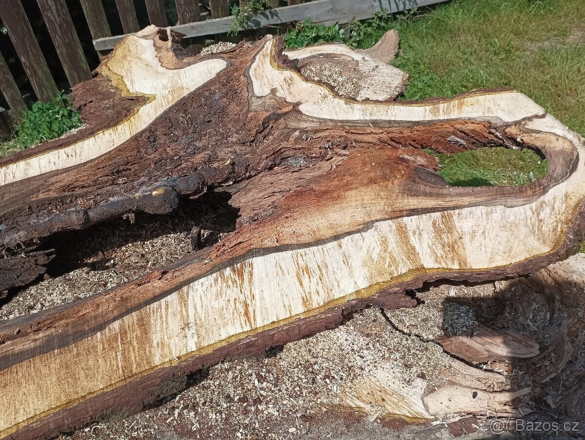 Ořechové fošny 85mm silné - 18