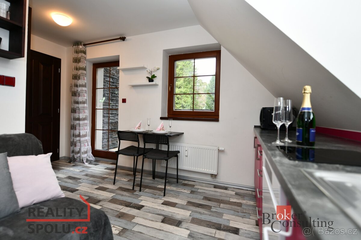 Prodej, byty/1+1, 28 m2, Rokytno 6, 51245 Rokytnice nad Jize - 18