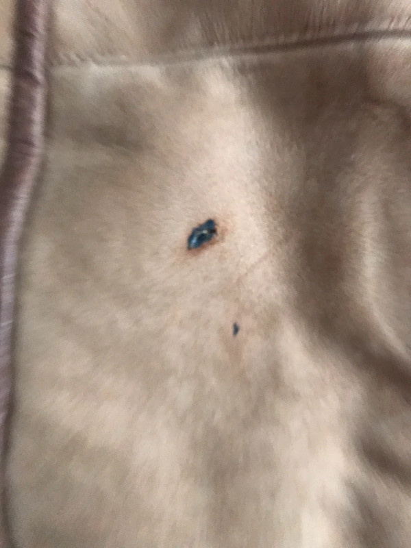 Kožich vel. XXL - 18