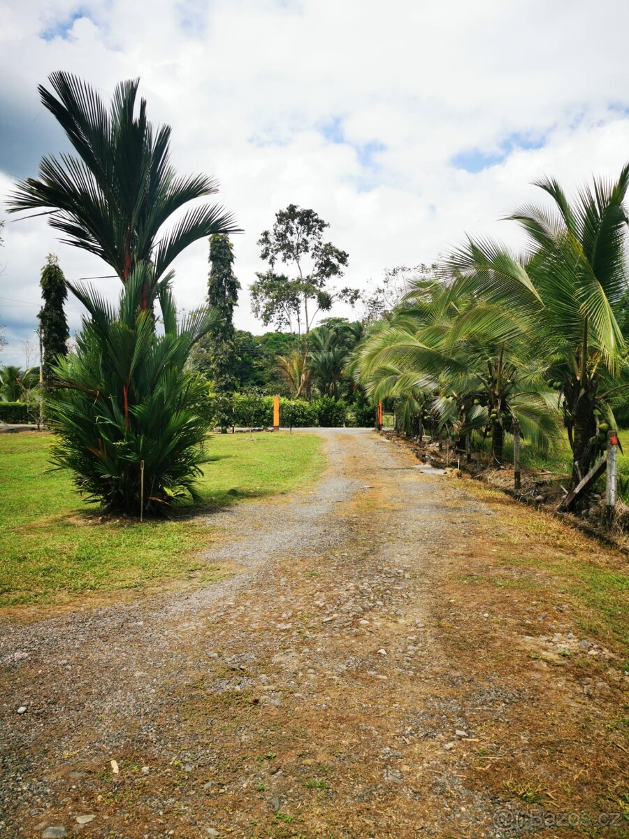 Pozemek s chatou Kostarika Heredia Sarapiqui - 18