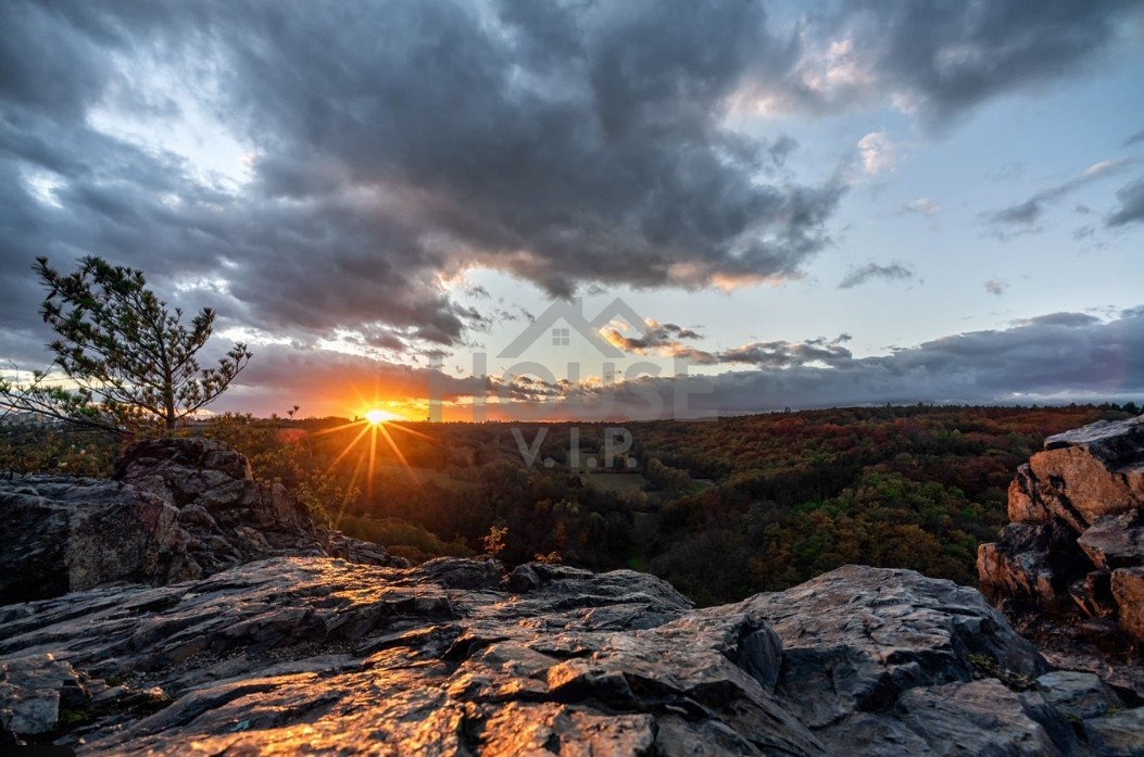Prodej bytu 3+kk po rekonstrukci, se zahradou, Praha 6 - Ruz - 18