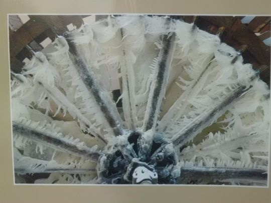 Stovky kusů Originál Uměleckých Fotografií - EVA MALÁ -PRAHA - 18