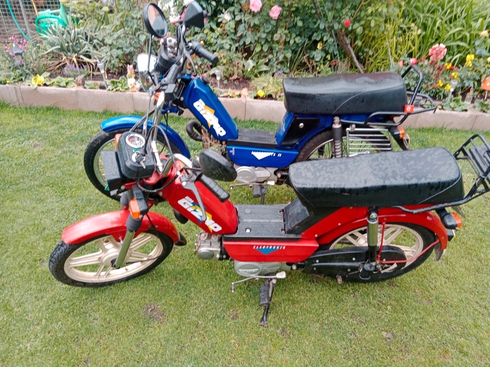 ANKUR FREE -moped - 18