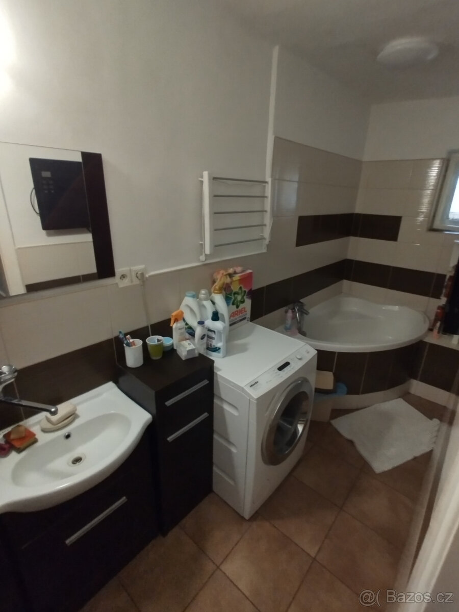 RD s pozemkem 6175m2 Závišice - 18